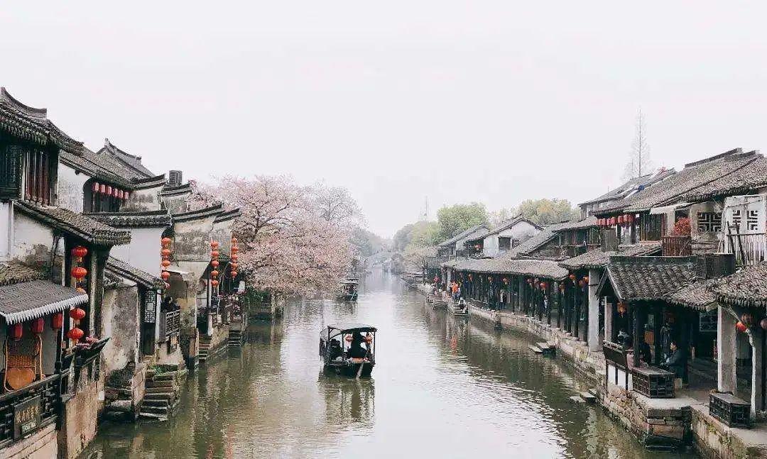 划龙舟吃粽子